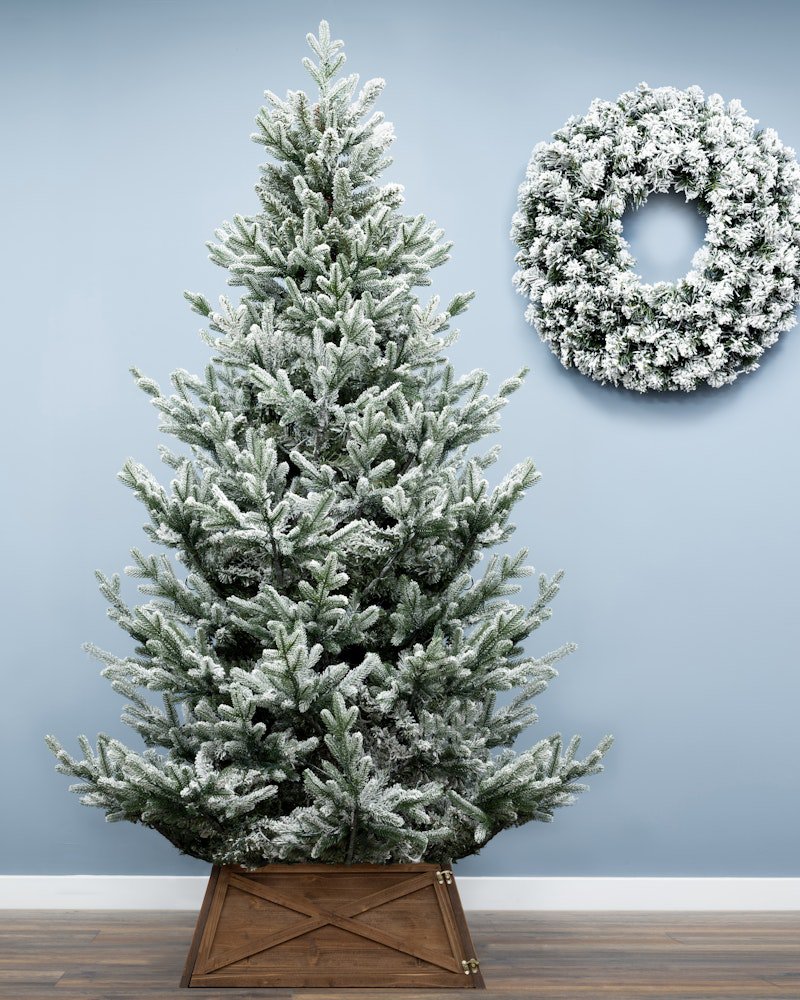 The Frosted Ultra Mountain Pine (6ft to 7ft) - Image 3
