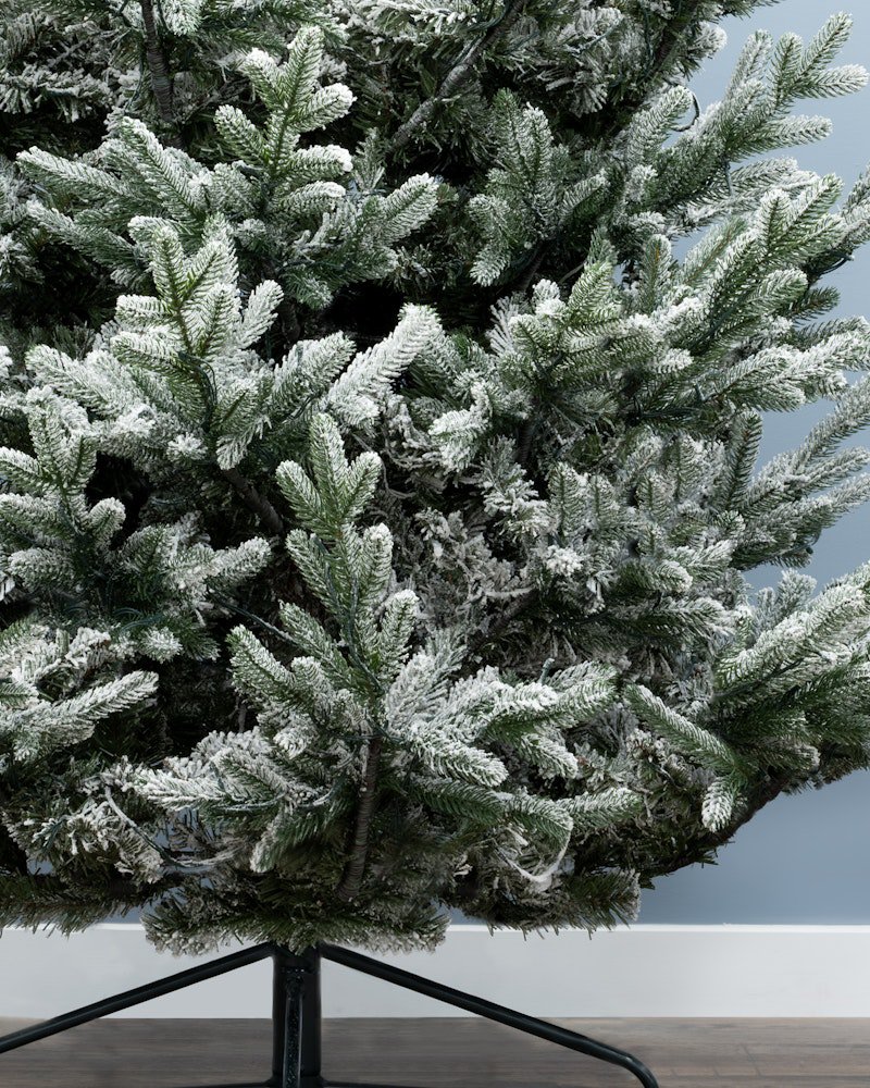 The Frosted Ultra Mountain Pine (6ft to 7ft) - Image 4