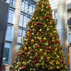 2025/09/1000308383.jpg 6m/19.6ft Giant Woodland Frame Tree - Multicolour Pre-lit (Indoor/Outdoor)