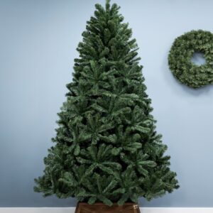 2025/09/1000308393.jpg The 10ft Arbor Vitae Fir Tree