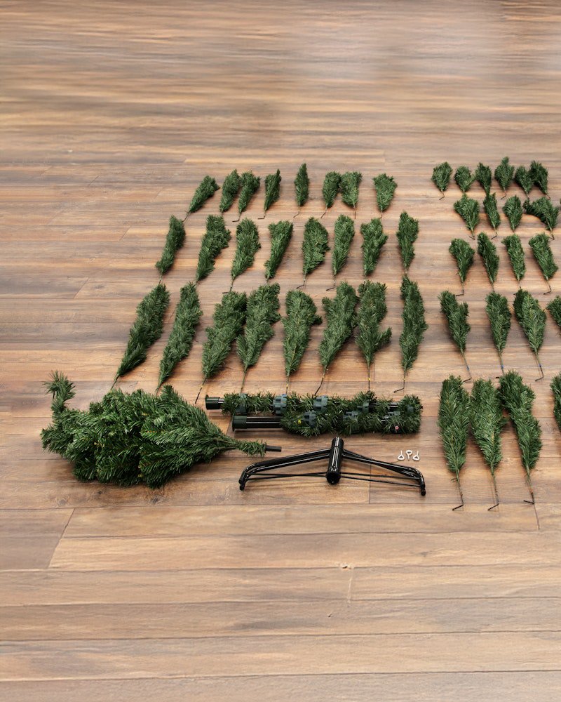 The 18ft Arbor Vitae Fir Tree - Image 4