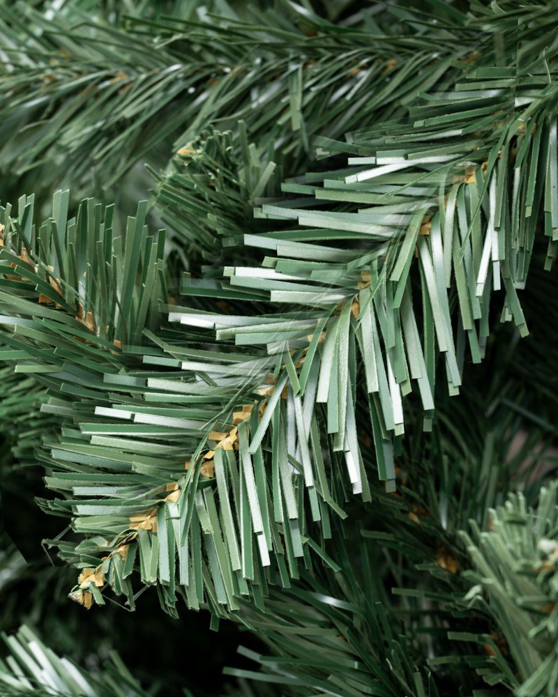 The 18ft Arbor Vitae Fir Tree - Image 5