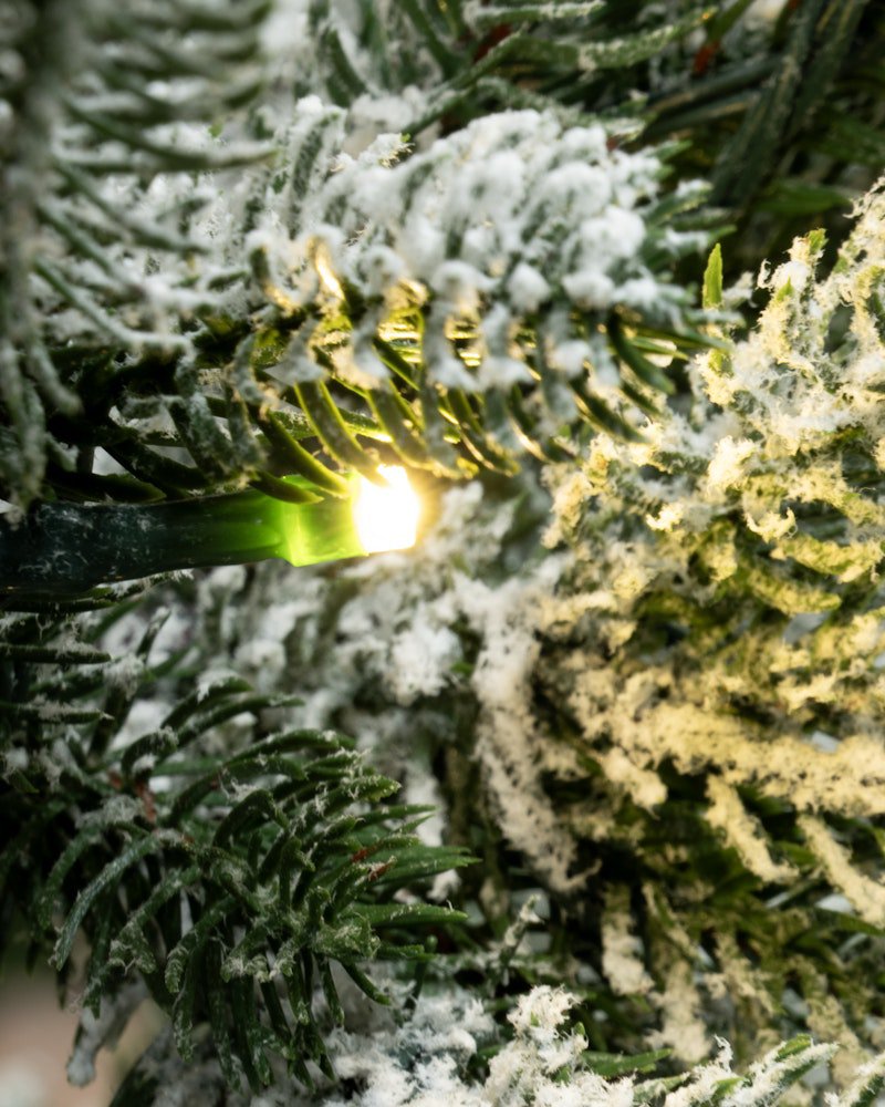 The 10ft Pre-lit Frosted Ultra Mountain Pine - Image 5