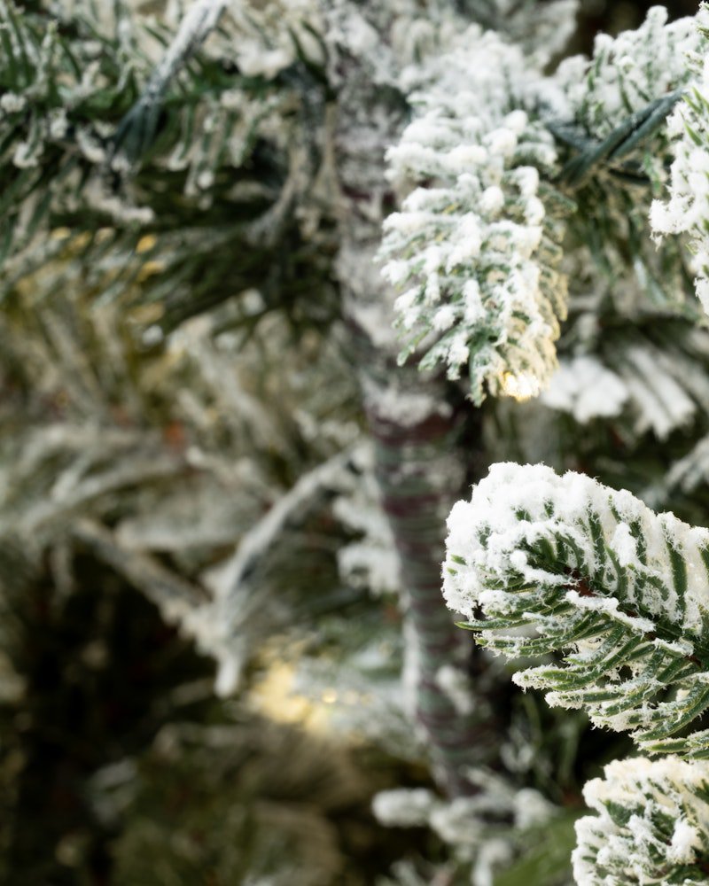 The 9ft Pre-lit Frosted Ultra Mountain Pine - Image 2