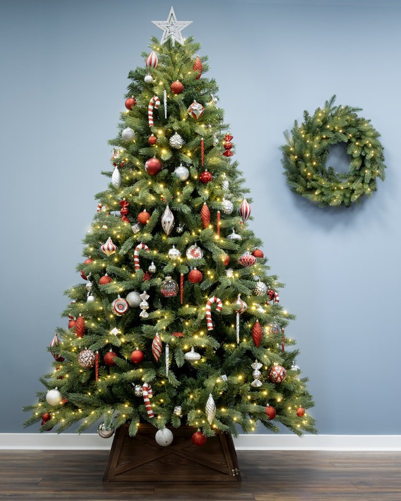 The 12ft Ultra Devonshire Fir Pre-lit with Warm White/Multicoloured Colour change LEDs