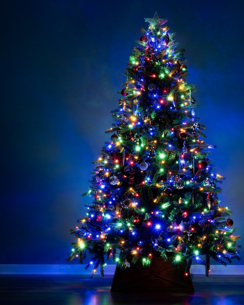 The 9ft Ultra Devonshire Fir Pre-lit with Warm White/Multicoloured Colour change LEDs - Image 2