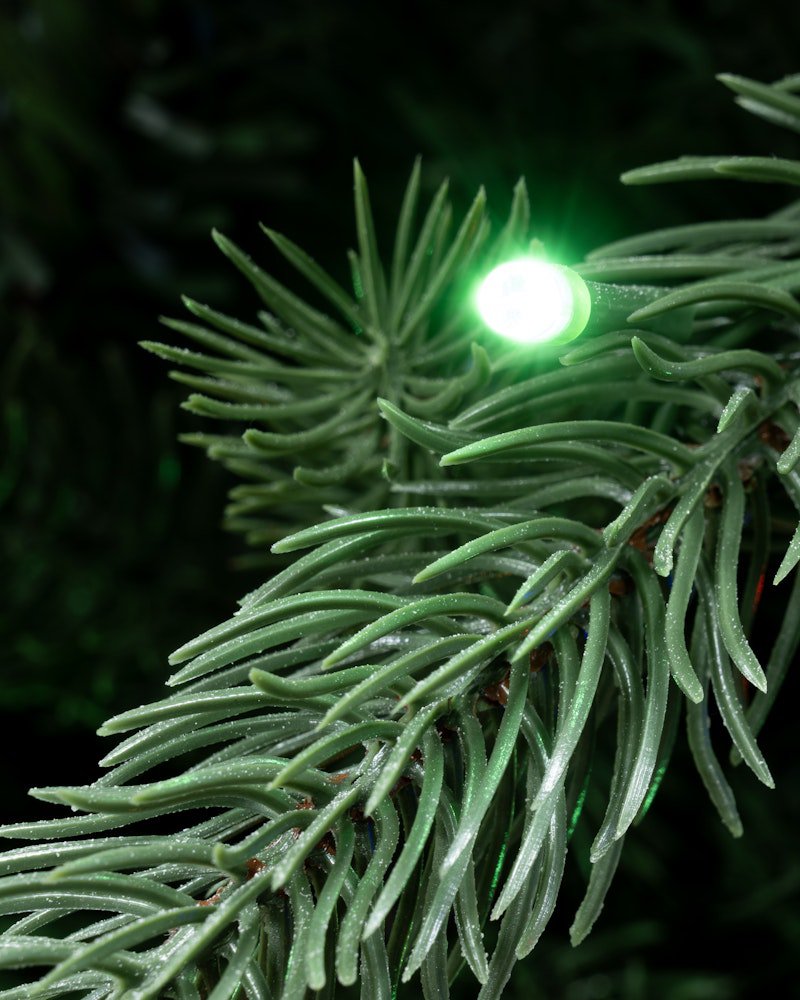 The 10ft Ultra Devonshire Fir Pre-lit with Warm White/Multicoloured Colour change LEDs - Image 4