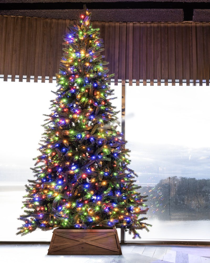 The 10ft Ultra Devonshire Fir Pre-lit with Warm White/Multicoloured Colour change LEDs - Image 5