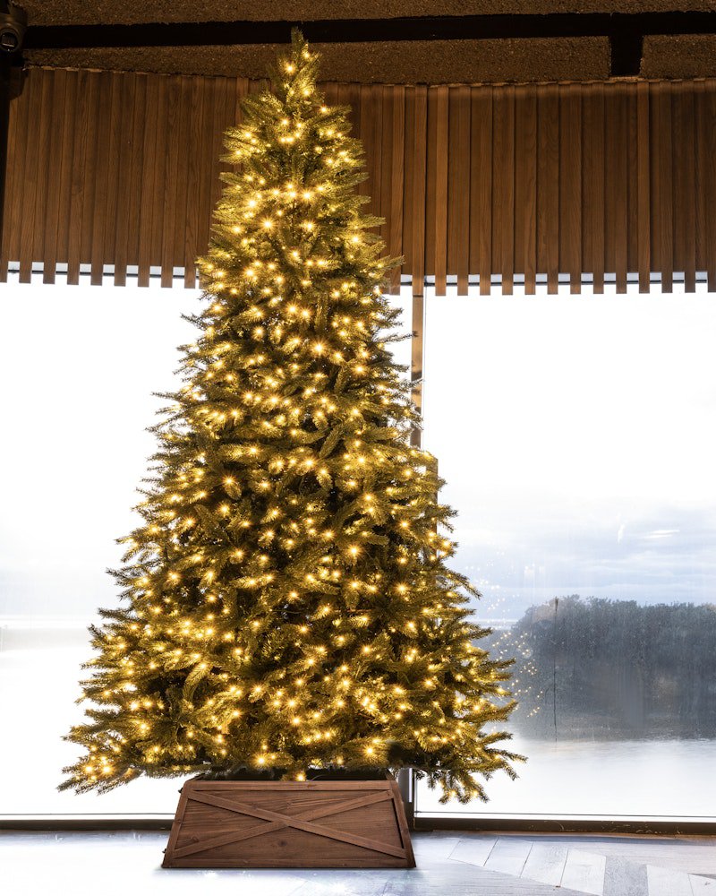 The 10ft Ultra Devonshire Fir Pre-lit with Warm White/Multicoloured Colour change LEDs - Image 2