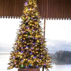 The 10ft Ultra Devonshire Fir Pre-lit with Warm White/Multicoloured Colour change LEDs