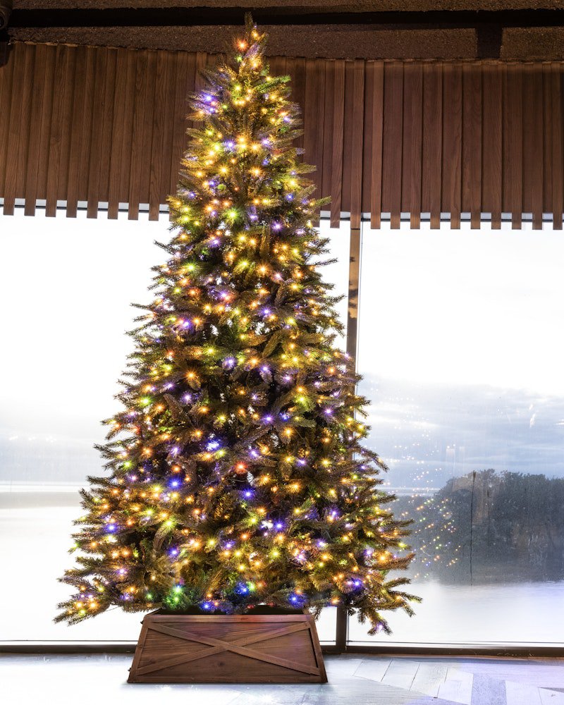 The 10ft Ultra Devonshire Fir Pre-lit with Warm White/Multicoloured Colour change LEDs