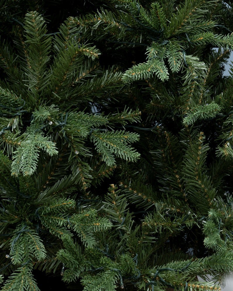 The 12ft Woodland Pine Tree - Image 6