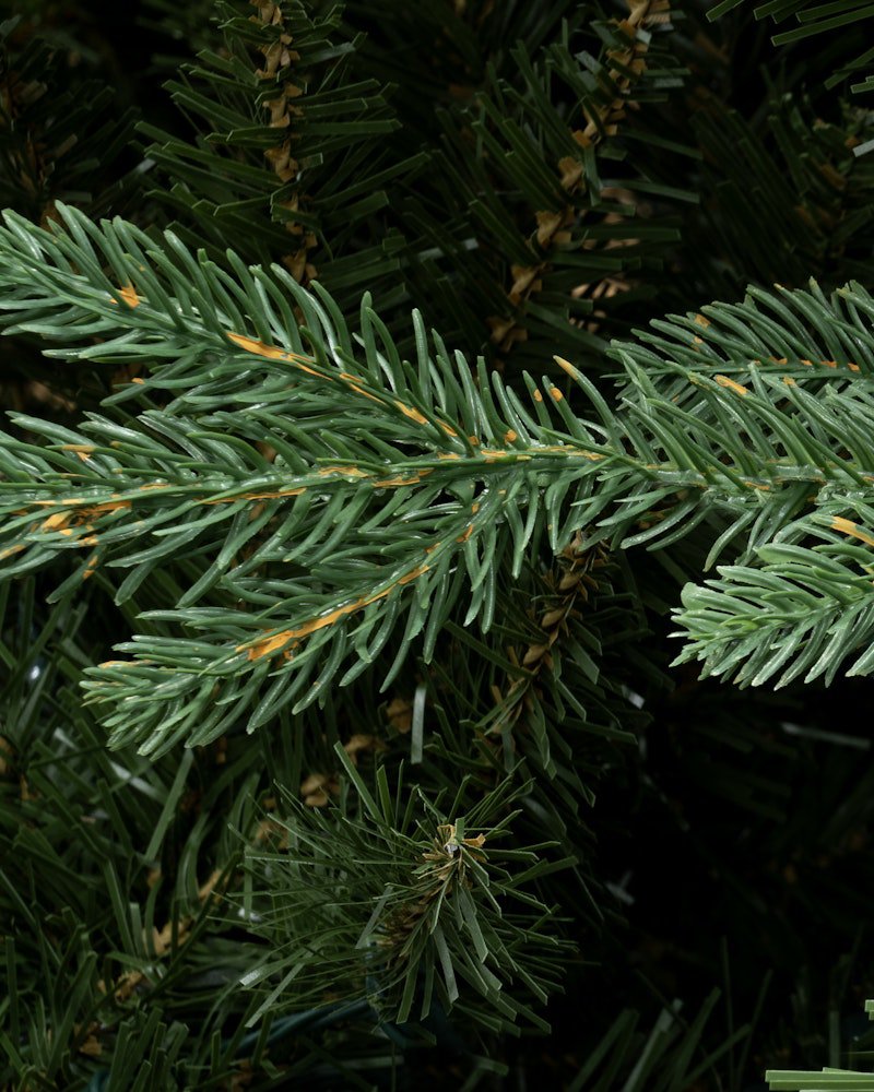 The 18ft Woodland Pine Tree - Image 6