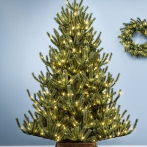 The Pre-lit Matterhorn Pine - Warm White (5ft to 8ft)