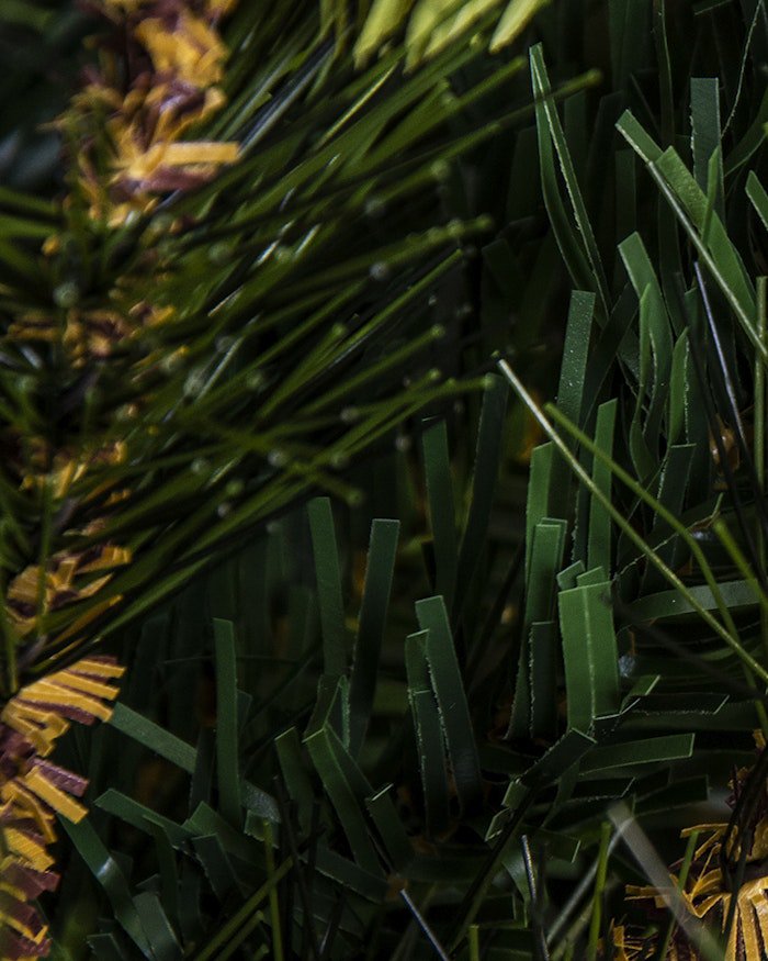 The Foresta Pine Tree (6ft-7ft) - Image 4